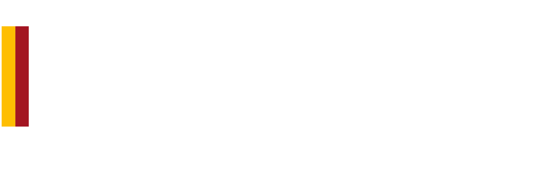 Meyzer Group